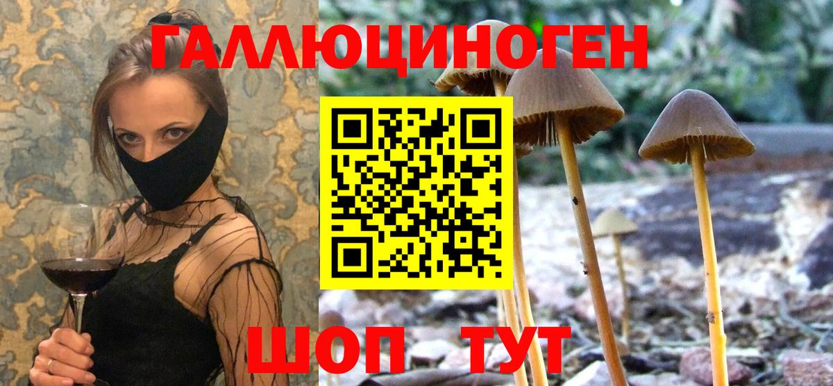 Псилоцибиновые грибы GOLDEN TEACHER  Псилоцибиновые грибы ЛСД  Пугачёв  купить   Вход с VPN 